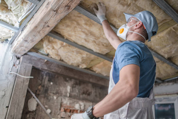 Best Insulation Installation Services in Rockville, MN