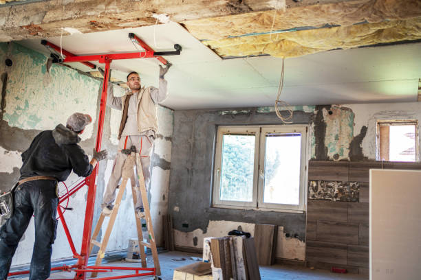 Best Specialty Insulation in Rockville, MN