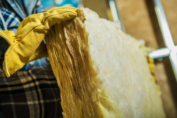 Best Residential Insulation in Rockville, MN