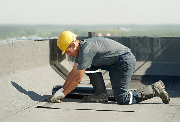 Best Commercial Insulation in Rockville, MN