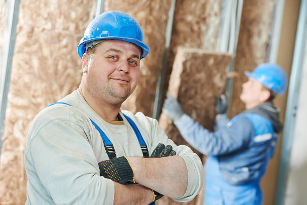 Professional Insulation Contractor in MN